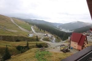 uitzicht op een kronkelende weg in een berg bij Cabana Transalpina in Ranca