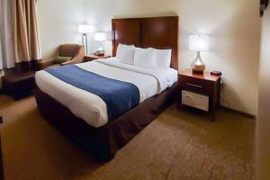 Gallery image of Comfort Inn in Oxon Hill