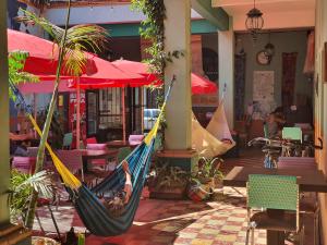 Gambar di galeri bagi Hierba De Conejo Hostel di Oaxaca City