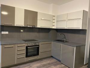 Dapur atau dapur kecil di Boutique Apartments Liberec