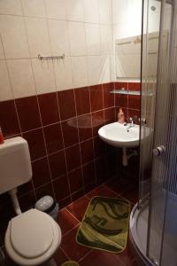 Kopalnica v nastanitvi Vadrózsa Vendégház-Apartman