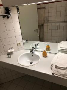 Vannituba majutusasutuses Ferienwohnung Hochschwarzwald