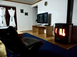 een woonkamer met een open haard en een televisie bij Villa ORKA Pelister - Forest Zone in Bitola