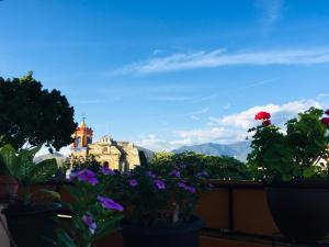 Blick auf ein Gebäude mit Blumen auf dem Balkon in der Unterkunft Hotel Cazomalli Oaxaca in Oaxaca de Juárez