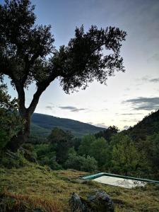 una piscina en la cima de una colina con un árbol en Monte das Cascatas, en Marvão