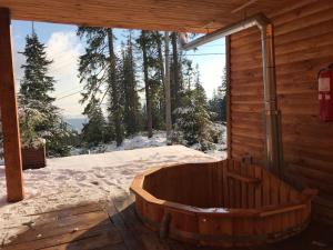 Objekt Alpin Eco Chalet & Wellness zimi