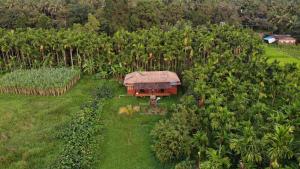 A garden outside IBBANI Homestay, Siddapur