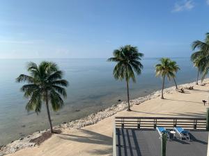 uma praia com palmeiras e cadeiras e a água em Caloosa Cove Resort - With Full Kitchens em Islamorada