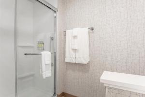 Kopalnica v nastanitvi Holiday Inn Express & Suites Chicago O'Hare Airport, an IHG Hotel