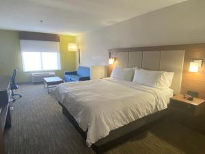 Holiday Inn Express & Suites Albuquerque Historic Old Town, an IHG Hotel房間的床