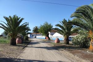 uma estrada de terra com palmeiras em frente a uma casa em Monte Da Serralheira Agro Turismo em Évora