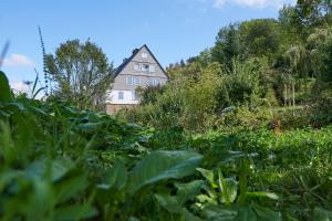 Un jardín fuera de The Conscious Farmer Bed and Breakfast Sauerland