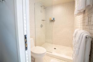 a bathroom with a shower and a toilet at Little Beaver Inn in Green Mountain Falls