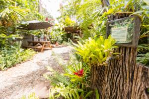 Kebun di luar On The Wallaby Lodge