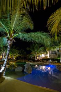 uma palmeira sentada ao lado de uma piscina à noite em Atmospheric apartment with a beautiful view of the swimming pool em Bayahibe