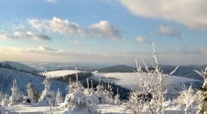 una collina innevata con alberi e un lago di Landhotel Flora & Fauna a Winterberg