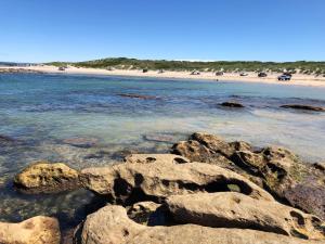 uma praia com algumas pedras na água em Lautan Cronulla Beach em Cronulla