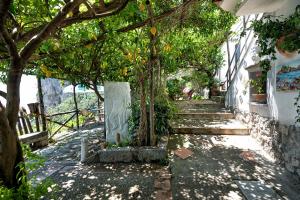 Vườn quanh B&B Ercole di Amalfi