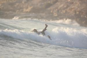 una persona che cavalca un'onda su una tavola da surf nell'oceano di GOLVEN Surf a Taghazout