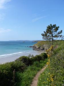 een onverharde weg naar een strand met een boom bij Penty de l'Aber in Crozon