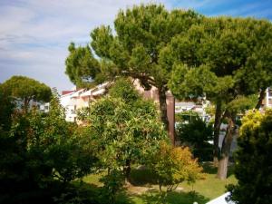 a group of trees in front of a house at B&C Apartments in Lido di Jesolo