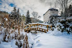 Hotel Radium Palace pozimi