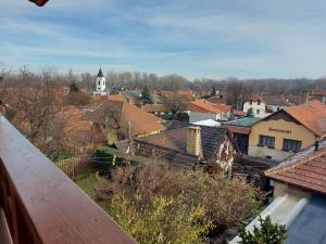 - une vue sur une ville avec une église et des toits dans l'établissement Böne Vendégház és Borozó, à Tokaj