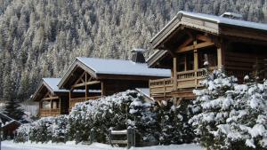 Chalets Grands Montets взимку