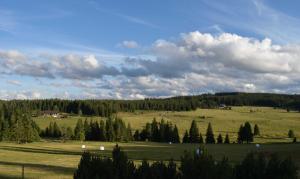 Naturlandskabet i nærheden af pensionatet