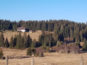 Naturlandskabet i nærheden af pensionatet