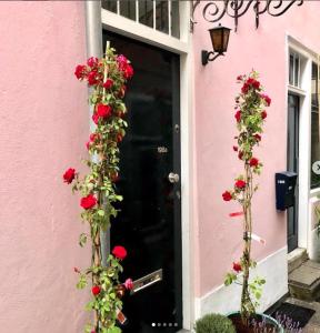 een zwarte deur met rode rozen op een roze huis bij Bookstor Hotel in Den Haag