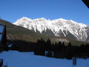 einen schneebedeckten Berg mit Bäumen im Vordergrund in der Unterkunft Fiore del Brenta 1 Genziana in Andalo