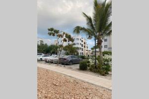 eine Palme und Autos auf einem Parkplatz in der Unterkunft Hawana Salalah lagoon beach apartment in Salalah