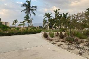 einen Gehweg mit Palmen in einem Park in der Unterkunft Hawana Salalah lagoon beach apartment in Salalah