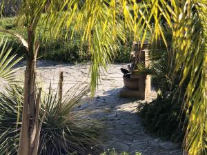 een zwarte kat op een bankje in een tuin bij Il Giardino Di Adriana B&B in Terracina