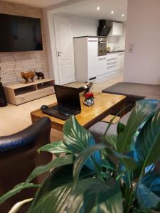 sala de estar con mesa de centro con ordenador portátil en Lilli Ferienwohnung, en Handewitt