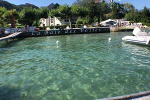 デュアンにあるRare : au bord du lac d’Annecy, cosy appartement en rez de jardin avec terrasse privativeの湖の水のプール