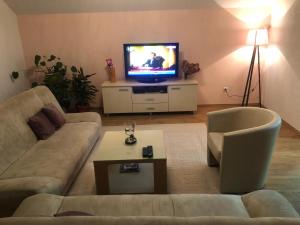 ein Wohnzimmer mit einem Sofa und einem TV in der Unterkunft Apartments Dedic in Dubrave Gornje