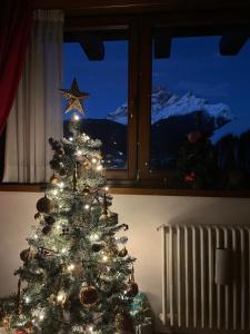 Un árbol de Navidad con luces en una habitación con ventana en Casa Romeo, en San Vito di Cadore