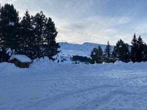 un campo cubierto de nieve con árboles y un pequeño cobertizo en Appartamento Alpe di Siusi, en Alpe di Siusi