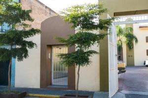 un piccolo albero di fronte a un edificio di Departamentos Tequila a Tequila