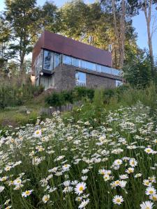 Casa moderna en el bosque y montaña tesisinin dışında bir bahçe