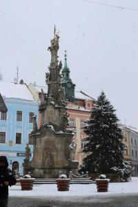 een fontein in een stad met een kerstboom bij Penzion-apartmán Souček in Jindrichuv Hradec