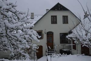 een besneeuwd huis met een boom ervoor bij Penzion-apartmán Souček in Jindrichuv Hradec