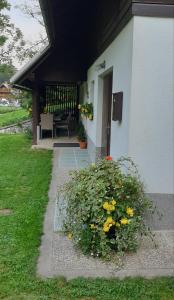 une terrasse couverte d'une maison avec un bouquet de fleurs dans l'établissement Apartment Sonce, à Bohinj