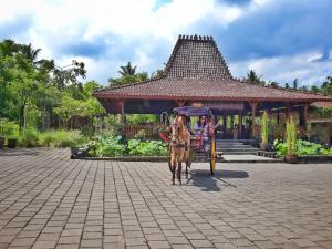 Κήπος έξω από το Amata Borobudur Resort