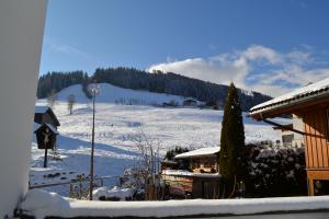 Hotel und Alpen Apartments mit Sauna - Bürglhöh durante el invierno