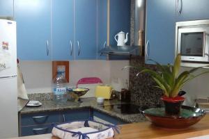 a kitchen with blue cabinets and a potted plant on a counter at Bonito apartamento de 3 hab. con jardín in Roses