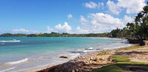 een strand met palmbomen en de oceaan bij Hotel Atlantis in Las Terrenas