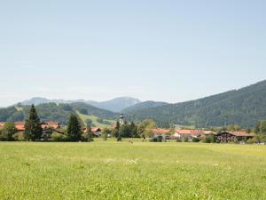 因泽尔Haus im Moos - Chiemgau Karte的一片绿草丛,山地背景